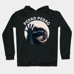 Pedro Pedro Pedro Dancing Racoon Meme Hoodie